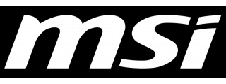 MSI