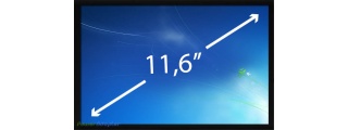 11.6 inch